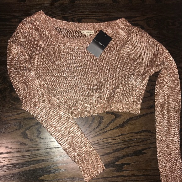Jluxlabel Tops - Rose gold mesh crop top.